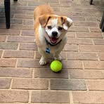 Meredith Bishop - Facebook