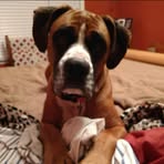 Meredith Hendy Bishop - Facebook