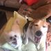 Meredith Chamberlain - Facebook