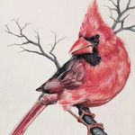 Meredith chambers - @trailsidedesign - Instagram