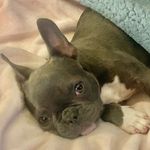 Meredith Alexander Cherry - @meredithalexandercherry - Instagram