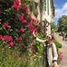 Meredith Clemons - Facebook