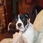 Meredith Cobb - @meredithcobb65 - Instagram