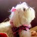 Meredith Coley - Facebook