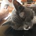 Chester Meredith - Facebook