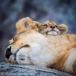 Mëredith Delgadô - @991_quetzal - Instagram