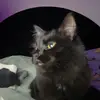 meredith - @meredith_editz - TikTok