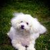Meredith Dillard - Facebook