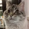 meredith - @meredithedunn - TikTok