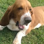 Meredith Ellerbrake - @meredithellerbrake - Instagram