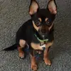 mereditheverett86 - @mereditheverett86 - TikTok
