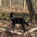 Meredith Sanford Fowler - Facebook