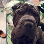 meredith freeman - @meredithfreeman143 - Instagram