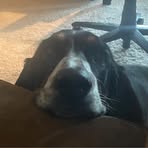 Meredith Freeman - Facebook