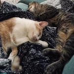 Meredith Friedman - @maybe_mere - Instagram