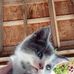 Meredith Gale - Facebook