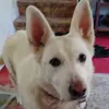 Meredith Good - @meredith.good - TikTok