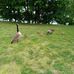 Meredith Graham - Facebook