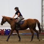 Meredith Graham - @meredithgraham.equestrian - Instagram