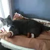 meredith_graham - @meredith_graham - TikTok