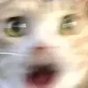 Meredith Graham - @meredith.graham112 - TikTok
