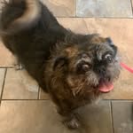 Meredith Graham Pickett - @pickettmke00 - Instagram
