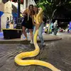 Meredith - @meredith.greer - TikTok