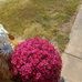 Meredith Gresham - Facebook
