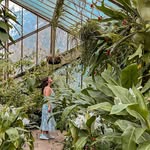 Meredith Higgins - @meredithshiggins - Instagram