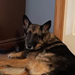 Meredith Higgins - @mhig421 - Instagram