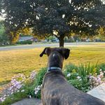 Meredith Clarke-Hopper - @clarkehopper - Instagram