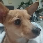 Alic Meredith - Facebook