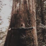 Mere - @meredithinnes - Instagram