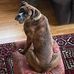 Meredith Derene Jansen - Facebook