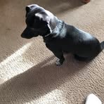Meredith Jarvis - Facebook