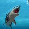 MeredithKnight - @rogelvzdeby - TikTok