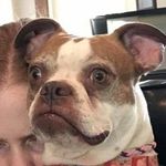 Meredith Little - @lilmermerwantsacandy - Instagram
