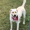 Meredith Little - @twinkie0199 - TikTok