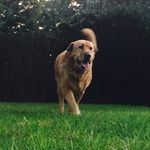 Mallory~Meredith - @mallorymeredith - Instagram