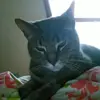 rachelmeredithmathews - @rachelmeredithmathews - TikTok