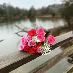 Meredith McCall Bradford - @merbradford - Instagram