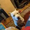 meredithmccall3 - @meredith.mccall1 - TikTok
