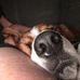 Meredith Mead - Facebook