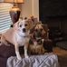 Meredith Ann Meadows - Facebook