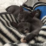 Meredith & Morrison - @mere.and.mo - Instagram