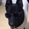morton.meredith - @morton.meredith - TikTok