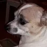Meredith Leake - @meredithleake - TikTok