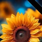 Meredith Peña - Facebook