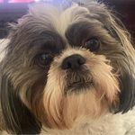 Tina Meredith Pittman - @tinapittman17 - Instagram