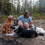 Meredith Purcell - @pointersinlabrador - Instagram